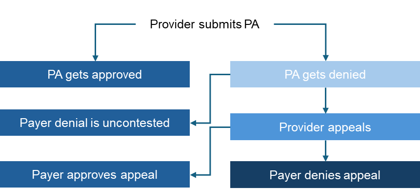 Provider Submits PA